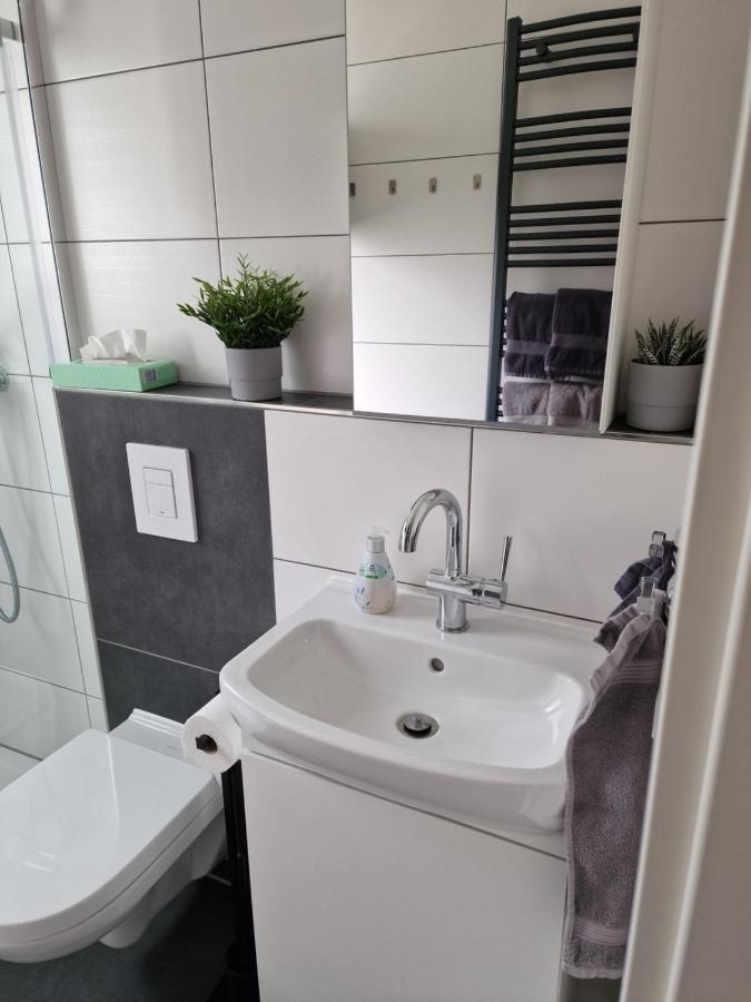Ferienhaus Steigrhein Filsen Ngoại thất bức ảnh